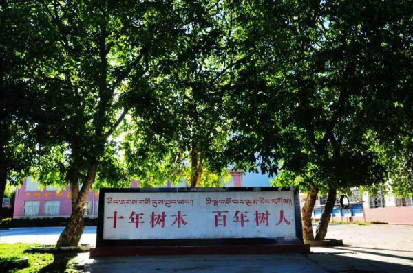 十年树木百年树人比喻什么