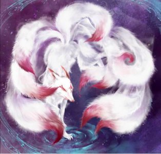 九尾狐有什么好的寓意 九尾狐的形象代表的是什么