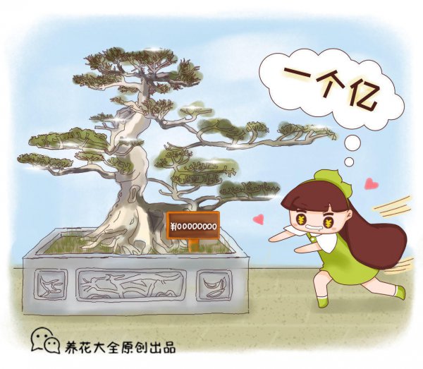 人民币上的花是什么花