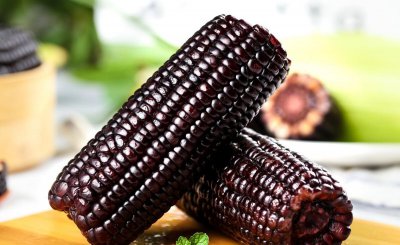 黑玉米是转基因的吗 怎么辨别黑玉米是否为转基因农产品