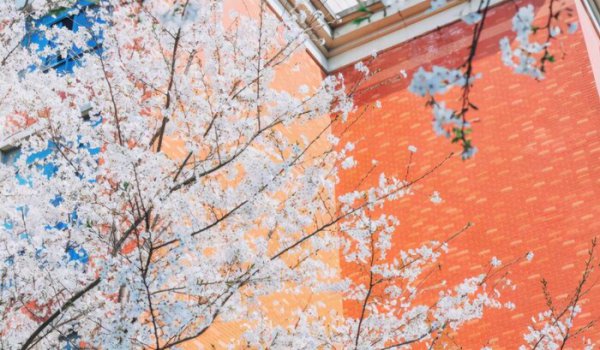 上海理工大学是一本吗