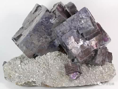 常见的重金属有哪些