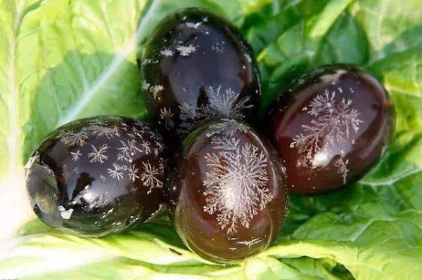 常见的重金属有哪些