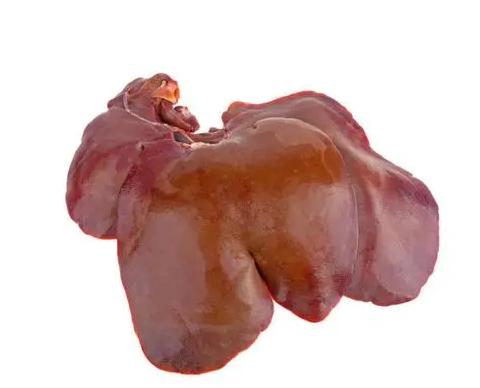 泰迪狗最爱吃的10种食