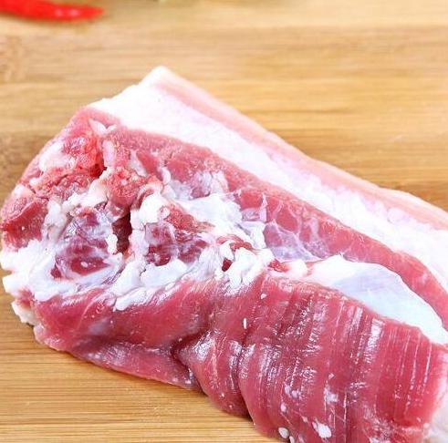 泰迪狗最爱吃的10种食