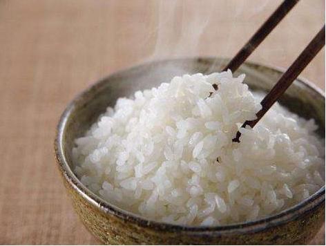 泰迪狗最爱吃的10种食