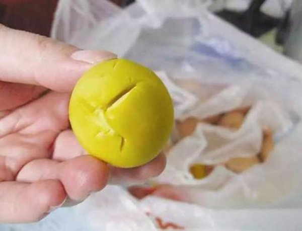 泰迪狗最爱吃的10种食