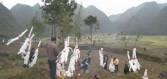 上坟不能拿的三种水果