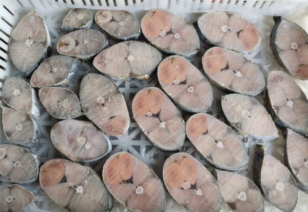 鲅鱼和马鲛鱼的区别