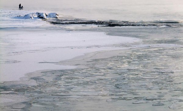 三九天从什么时候开始算起