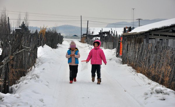 三九天从什么时候开始算起