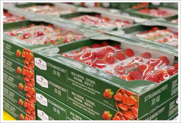 山姆超市为什么这么火