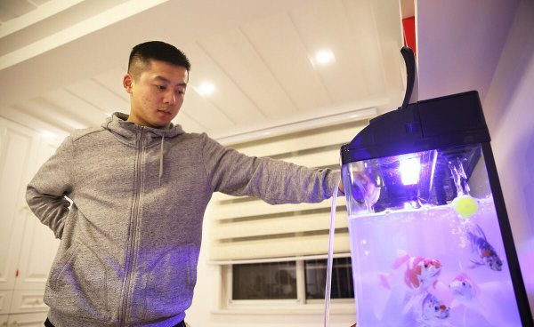 养金鱼不死的小窍门