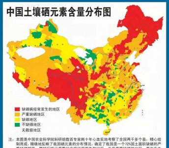 富硒是什么东西 究竟什么东西可以被叫做富硒产品