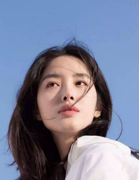 杨采钰和陈金飞之间的故事