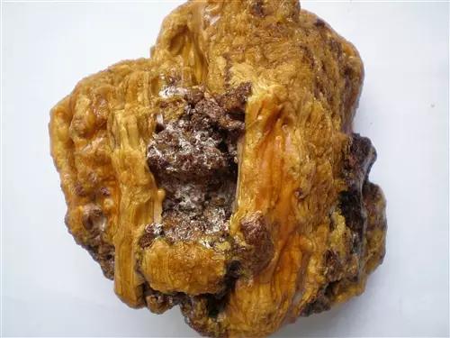 琥珀的形成过程是什么