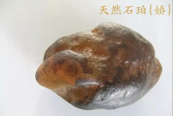 琥珀的形成过程是什么