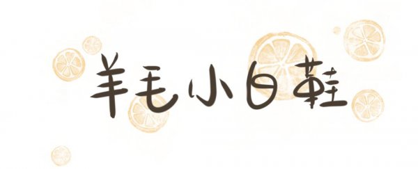 公认世界上最舒服的鞋