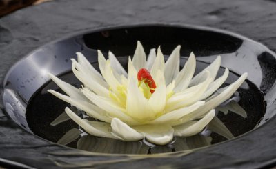 四川的特色美食都有哪些 四川最出名的16道名菜