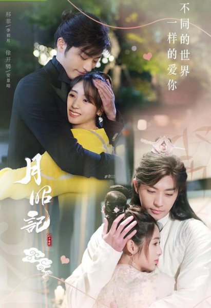 邢菲演过哪些电视剧