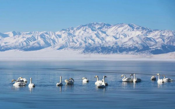 几月份去新疆旅游最好
