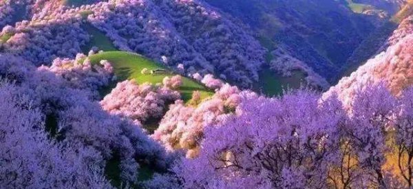 几月份去新疆旅游最好