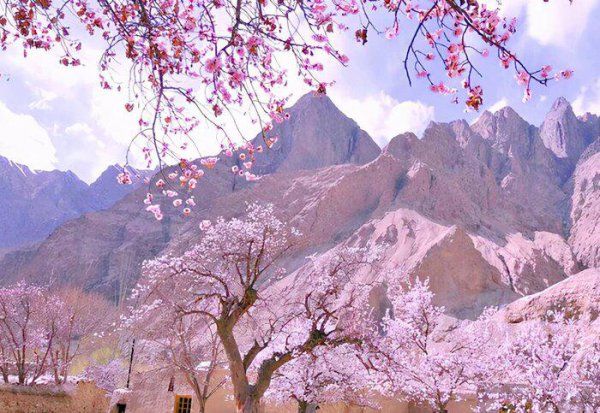 几月份去新疆旅游最好