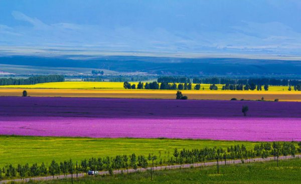 几月份去新疆旅游最好