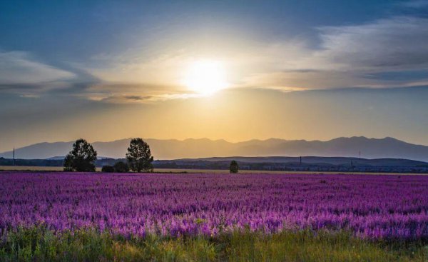 几月份去新疆旅游最好