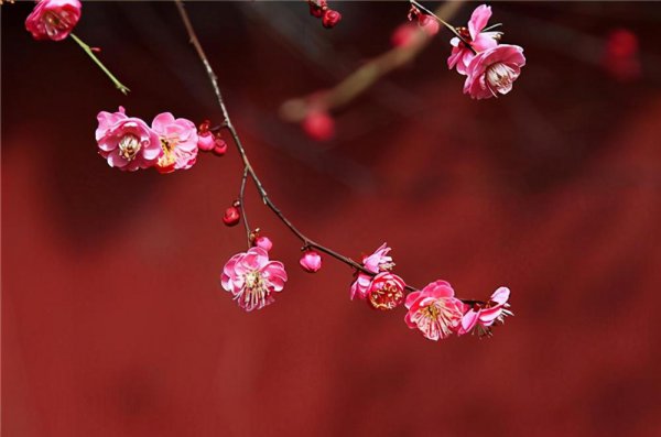 正月是一月还是二月