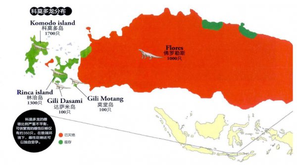 科莫多巨蜥有毒吗