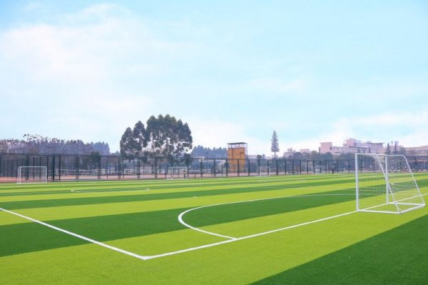 成都大学分数线是多少