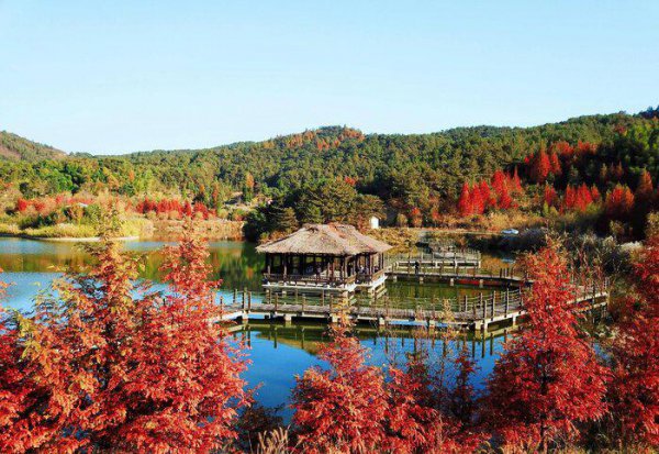 乡村振兴包括哪五个方面的振兴