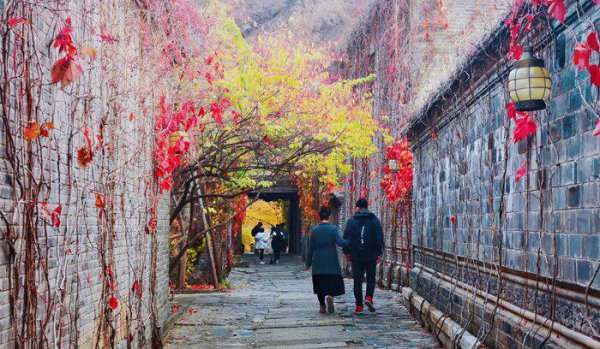 乡村振兴包括哪五个方面的振兴