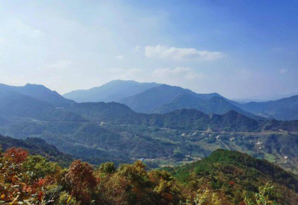 乡村振兴包括哪五个方面的振兴