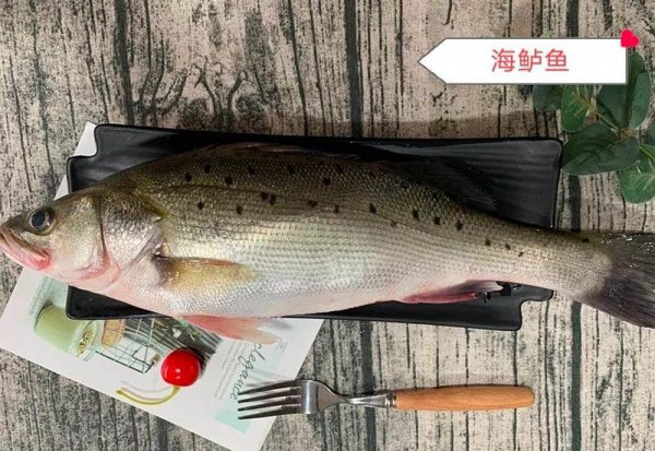 酸菜鱼什么鱼最好