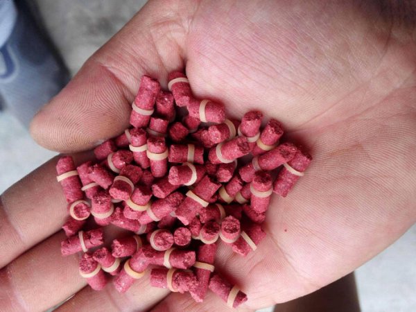 钓鲫鱼用什么最好