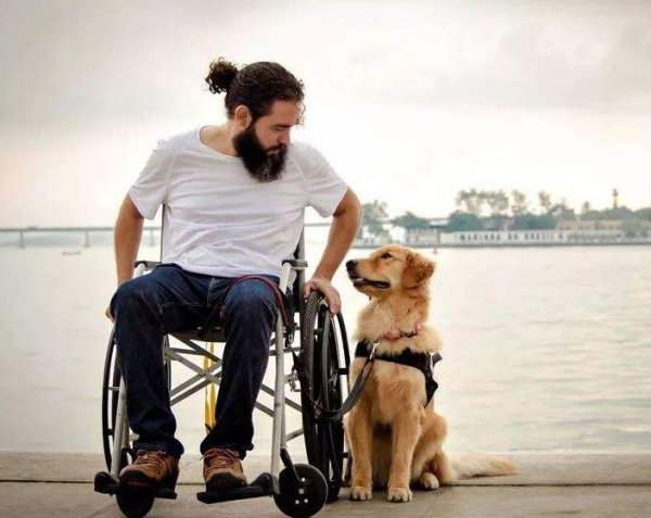 宠物狗的品种有哪些