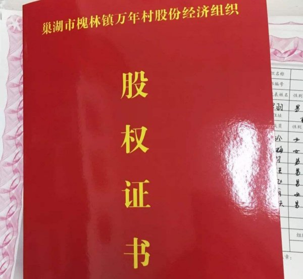 农村集体经济组织股权证什么意思