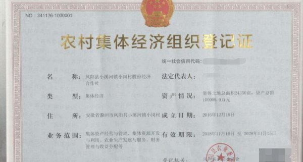 农村集体经济组织股权证什么意思