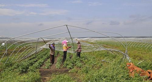 农村集体经济组织股权证什么意思