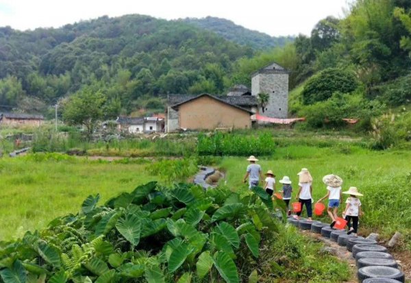 农村集体经济组织股权证什么意思