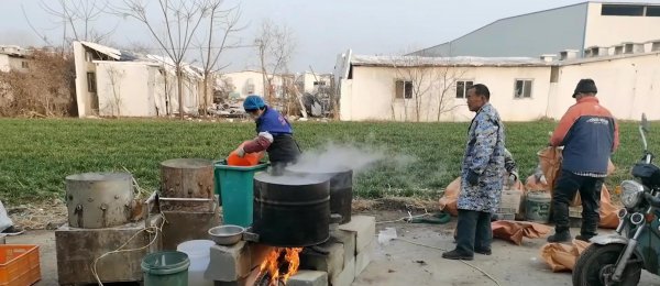 鹌鹑一天下几个蛋