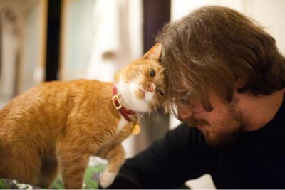 猫为什么会发出呼噜呼噜声 猫咪呼噜声是因为开心吗