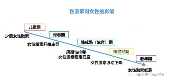 荷尔蒙是什么分泌的