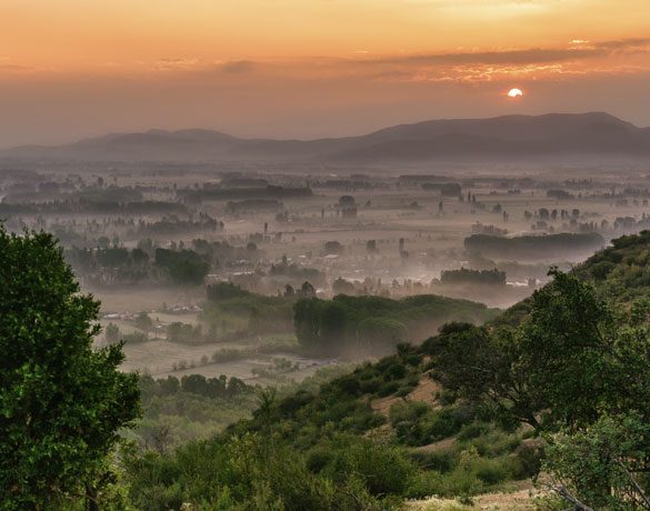 智利红酒品牌排行榜前十名
