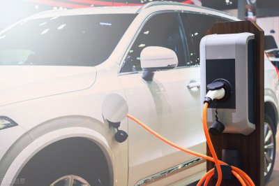 将来必定升值的东西 现在买什么将来升值空间会很大