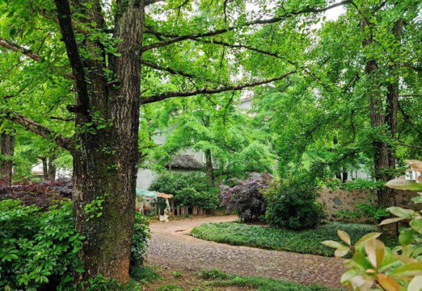 桂林特产有哪些值得带