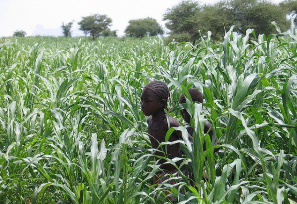 马里是哪个国家的首都