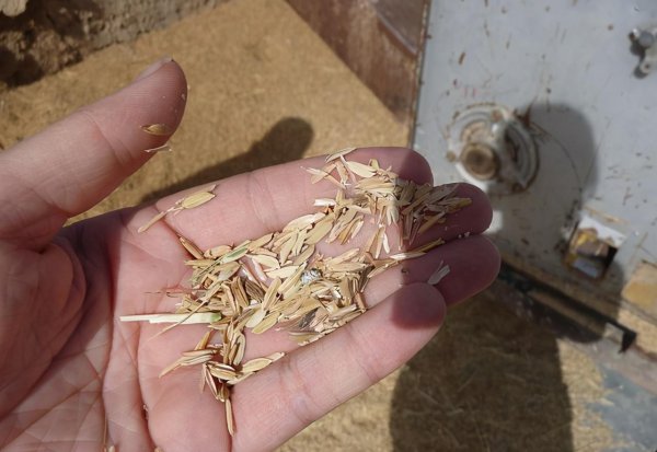 马里是哪个国家的首都